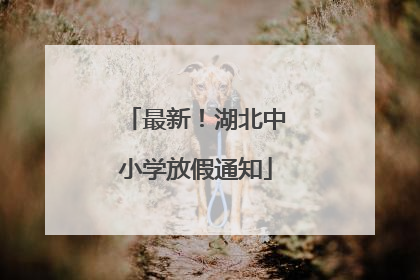 最新！湖北中小学放假通知