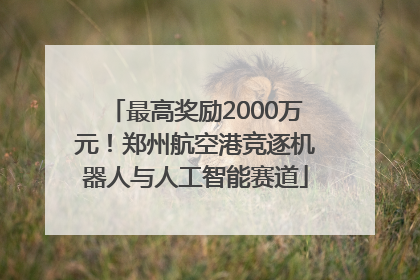 最高奖励2000万元！郑州航空港竞逐机器人与人工智能赛道