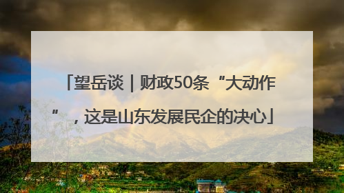 望岳谈｜财政50条“大动作”，这是山东发展民企的决心