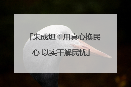 朱成坦：用真心换民心 以实干解民忧