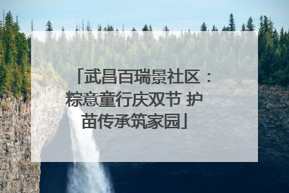 武昌百瑞景社区：粽意童行庆双节 护苗传承筑家园