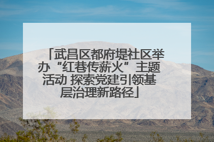 武昌区都府堤社区举办“红巷传薪火”主题活动 探索党建引领基层治理新路径