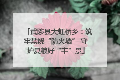 武陟县大虹桥乡：筑牢禁烧“防火墙” 守护夏粮好“丰”景