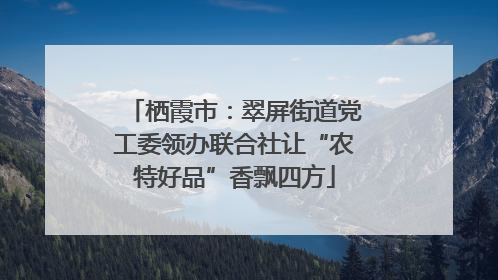 栖霞市：翠屏街道党工委领办联合社让“农特好品”香飘四方