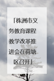株洲市义务教育课程教学改革推进会在荷塘区召开