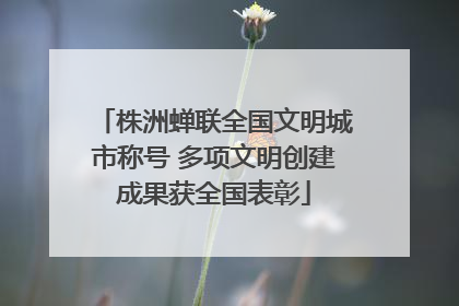 株洲蝉联全国文明城市称号 多项文明创建成果获全国表彰