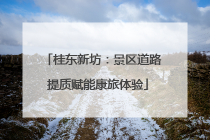 桂东新坊：景区道路提质赋能康旅体验
