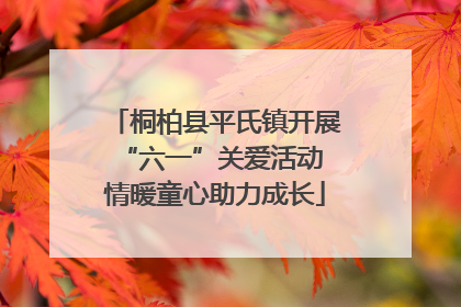 桐柏县平氏镇开展“六一”关爱活动 情暖童心助力成长