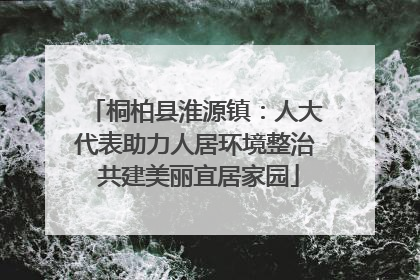 桐柏县淮源镇：人大代表助力人居环境整治 共建美丽宜居家园