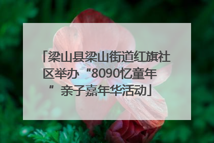 梁山县梁山街道红旗社区举办“8090忆童年”亲子嘉年华活动