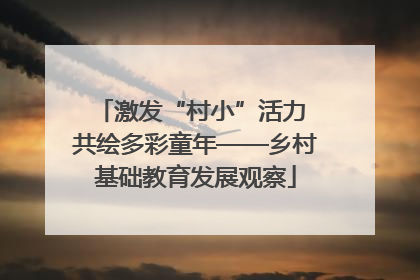 激发“村小”活力 共绘多彩童年——乡村基础教育发展观察