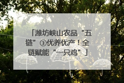 潍坊峡山农品“五链”③优养优产！全链赋能“一只鸡”