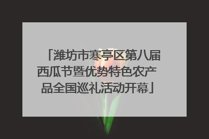 潍坊市寒亭区第八届西瓜节暨优势特色农产品全国巡礼活动开幕