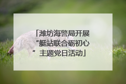 潍坊海警局开展“艇站联合砺初心”主题党日活动