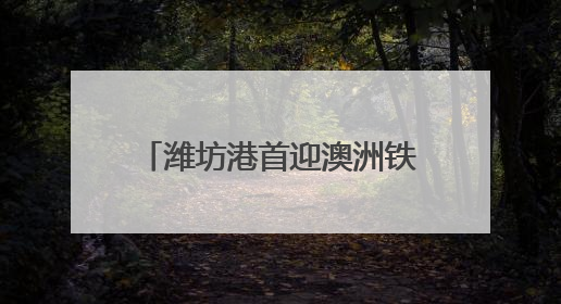 潍坊港首迎澳洲铁矿直达船 海事局护航降本增效新通道