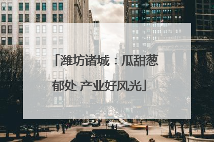潍坊诸城：瓜甜葱郁处 产业好风光