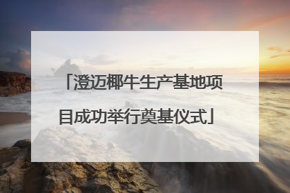 澄迈椰牛生产基地项目成功举行奠基仪式