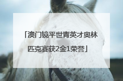 澳门镜平世青英才奥林匹克赛获2金1荣誉