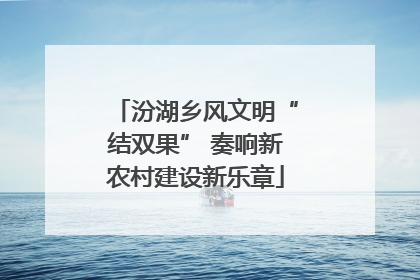 汾湖乡风文明“结双果” 奏响新农村建设新乐章