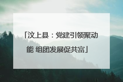 汶上县：党建引领聚动能 组团发展促共富