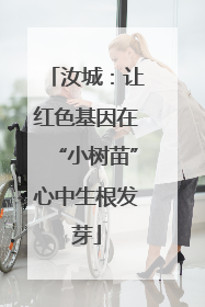 汝城：让红色基因在“小树苗”心中生根发芽