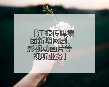 江报传媒集团新增网剧、影视动画片等视听业务