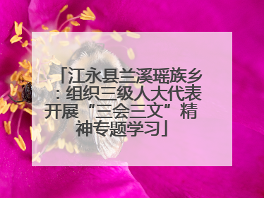 江永县兰溪瑶族乡：组织三级人大代表开展“三会三文”精神专题学习