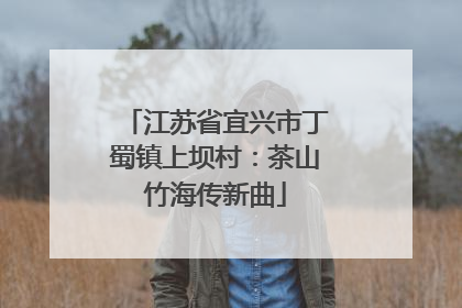 江苏省宜兴市丁蜀镇上坝村：茶山竹海传新曲