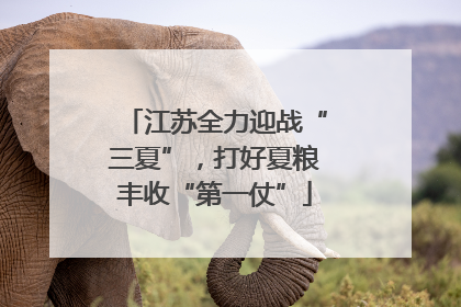 江苏全力迎战“三夏”，打好夏粮丰收“第一仗”