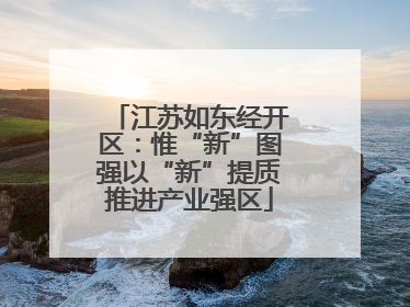 江苏如东经开区：惟“新”图强以“新”提质推进产业强区