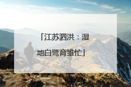 江苏泗洪：湿地白鹭育雏忙