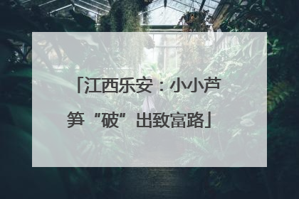 江西乐安：小小芦笋“破”出致富路