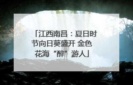 江西南昌：夏日时节向日葵盛开 金色花海“醉”游人