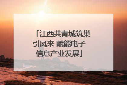 江西共青城筑巢引凤来 赋能电子信息产业发展