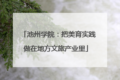 池州学院：把美育实践做在地方文旅产业里