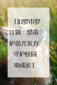 汨罗市罗江镇：禁毒护苗齐发力 守护校园助成长