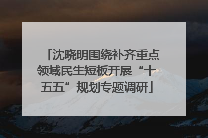 沈晓明围绕补齐重点领域民生短板开展“十五五”规划专题调研