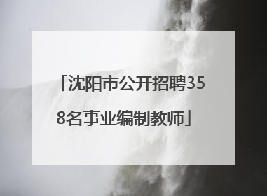沈阳市公开招聘358名事业编制教师