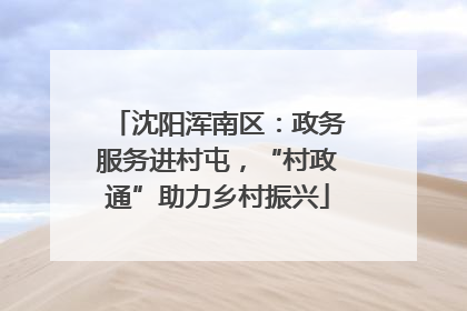 沈阳浑南区：政务服务进村屯，“村政通”助力乡村振兴