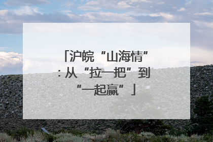 沪皖“山海情”：从“拉一把”到“一起赢”