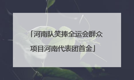 河南队笑捧全运会群众项目河南代表团首金