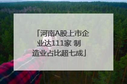 河南A股上市企业达111家 制造业占比超七成