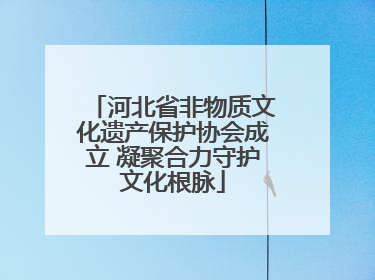 河北省非物质文化遗产保护协会成立 凝聚合力守护文化根脉