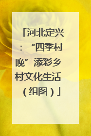 河北定兴：“四季村晚”添彩乡村文化生活（组图）
