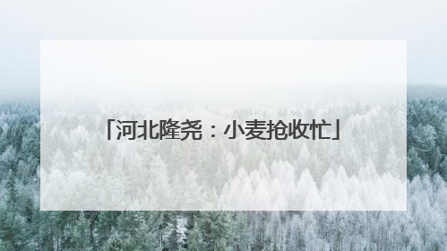 河北隆尧：小麦抢收忙