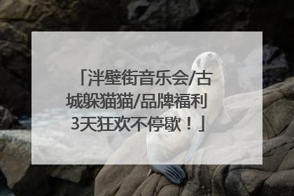 泮壁街音乐会/古城躲猫猫/品牌福利3天狂欢不停歇！