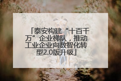 泰安构建“十百千万”企业梯队，推动工业企业向数智化转型2.0版升级
