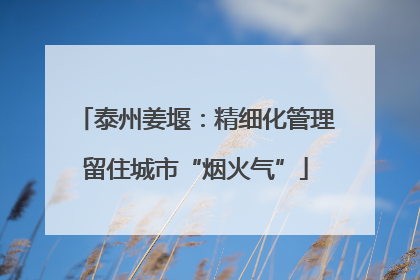 泰州姜堰：精细化管理留住城市“烟火气”