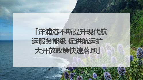 洋浦港不断提升现代航运服务能级 促进航运扩大开放政策快速落地