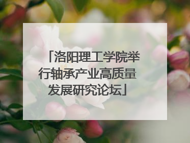 洛阳理工学院举行轴承产业高质量发展研究论坛